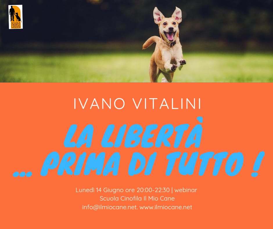 webinar vitalini